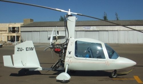 ZU-EIW Sycamore Eagle.JPG