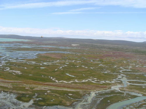 RESIZEClose to langebaan lagoon.jpg