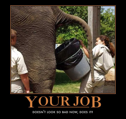 elephant-diarrhea.jpg