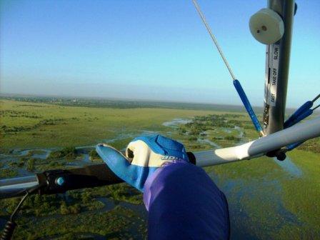 Swamps 3s.jpg