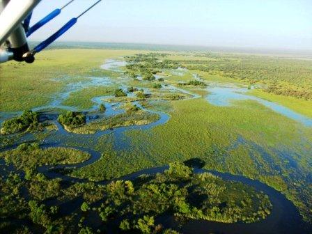 Swamps 4s.jpg