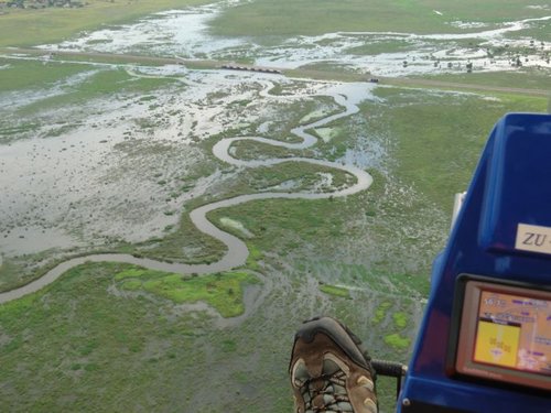 Swamps1.jpg