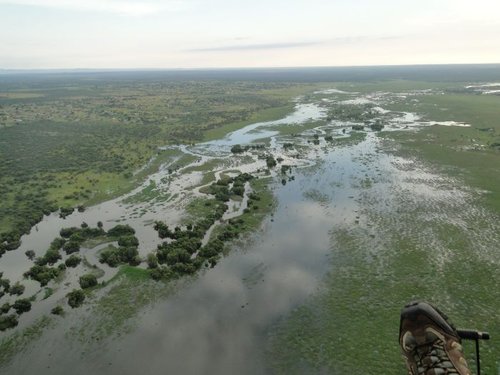 Swamps2.jpg