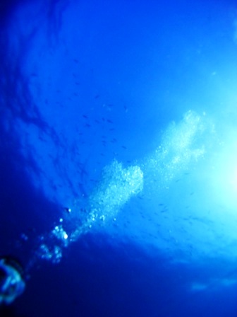 201102 Umkomaas 574.JPG