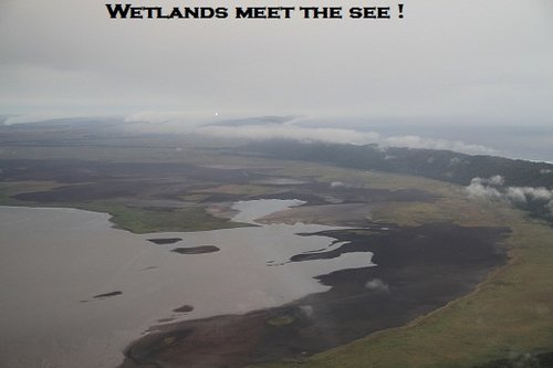 Wetlands 1111.jpg