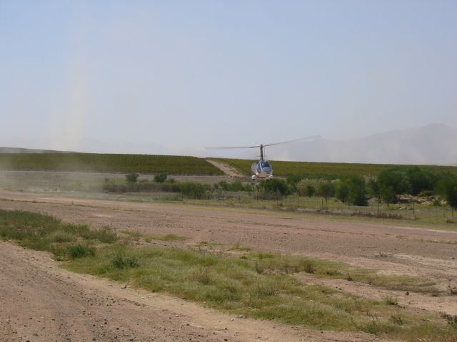 P1050389.jpg