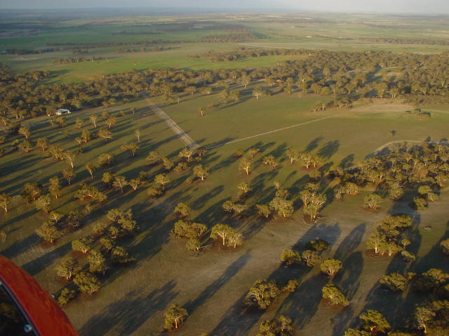 runway%2006%20longway.jpg