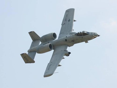 A10.JPG