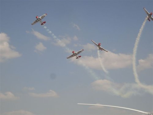 Harvards3.JPG