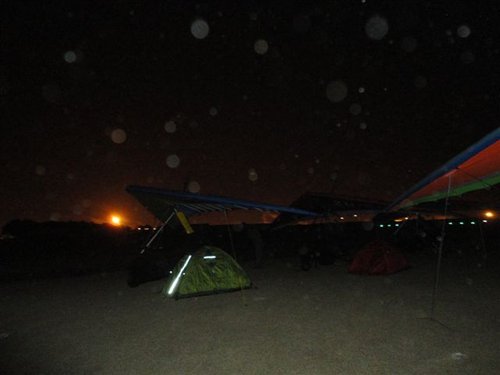 Sleeping under the wings..JPG