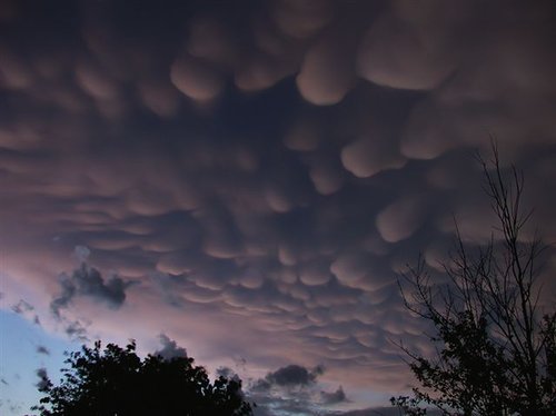 47062988_kuV0TnVb_mammatus.jpg