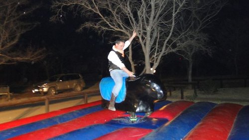 Asterix and the Bull.jpg