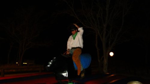 Tribal riding the Bull.jpg