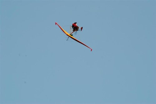 Africa cup 2011 (514) (Medium).JPG