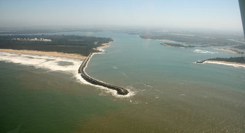 IMG_6252.jpg