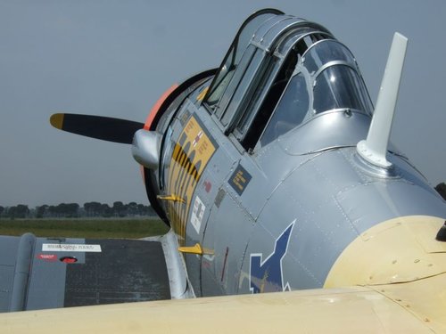 Copy of 1110150027.JPG