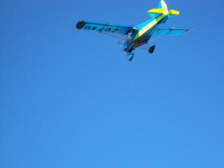 340.jpg