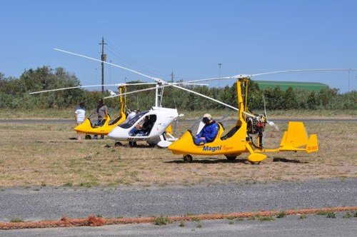 DSC_6131.jpg