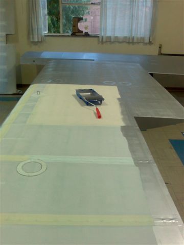 Wing Alu Coating.jpg
