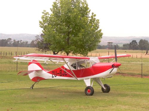 Avid Flyer A toF 1.jpg