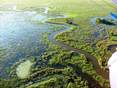 Swamps 2s.jpg