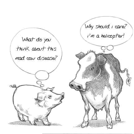 Mad cow disease.jpg