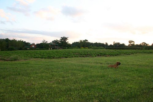 runway 2012 012 sized.jpg