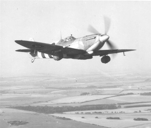 Spitfire bear keg 2.jpg