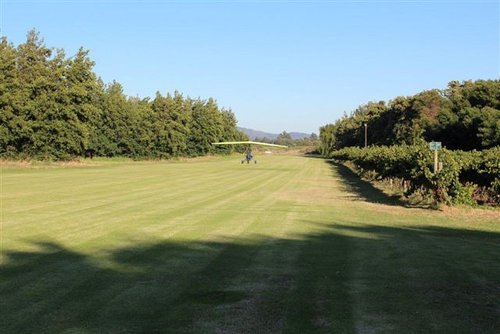LANDING MORESON.jpg
