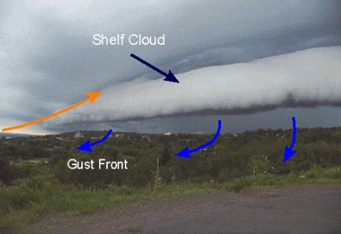 shelfcloud.jpg