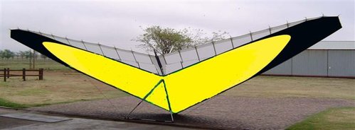 wing design.JPG