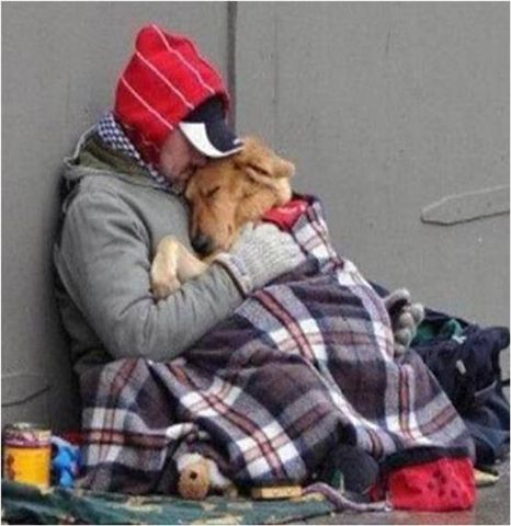 Companionship - 2.jpg