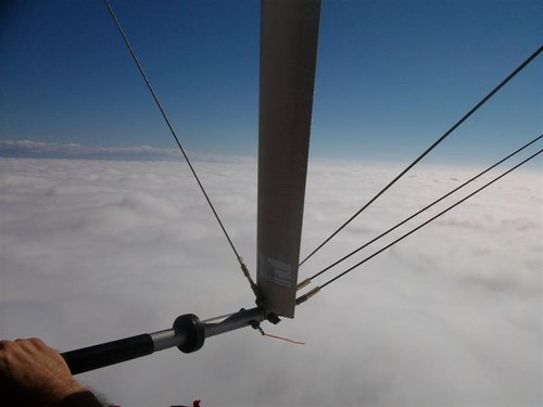 SANY2476 (Medium).JPG