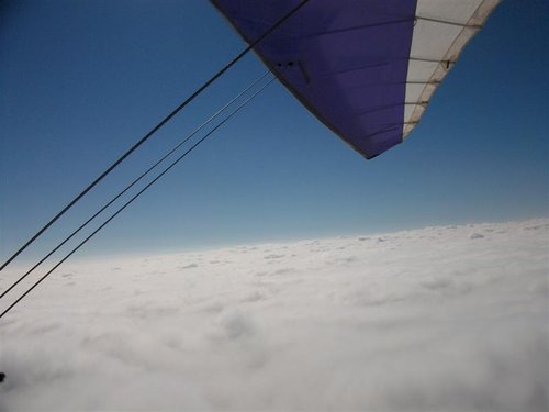 SANY2481 (Medium).JPG
