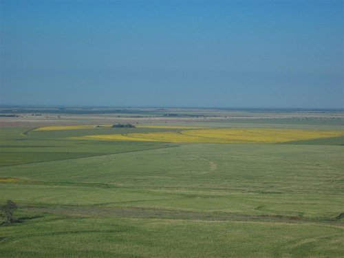 Sonneblomme (14) (Medium).jpg
