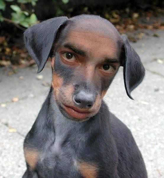 Peanut.jpg