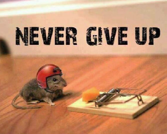 Never give up.jpg