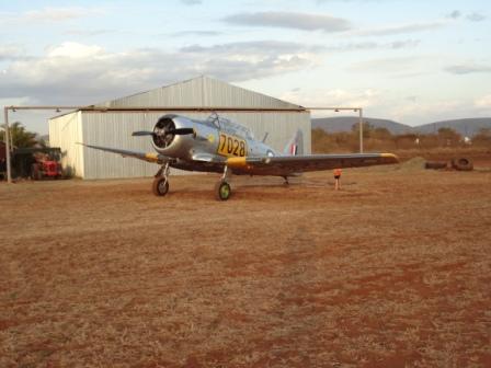 Harvard 7028.JPG