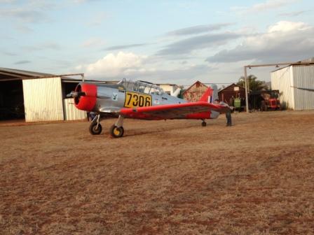 Harvard 7306.JPG