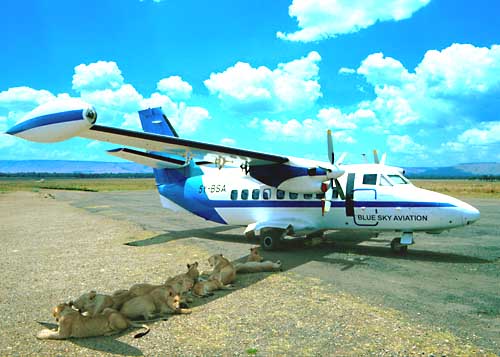 Africa preflight.jpg
