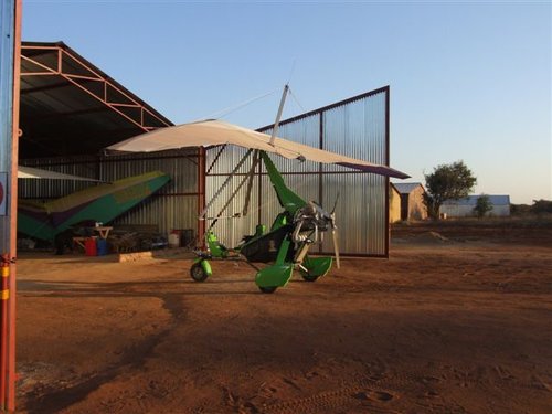 Groen Cobra.JPG