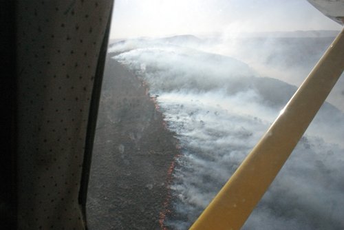 IMG_5670.JPG