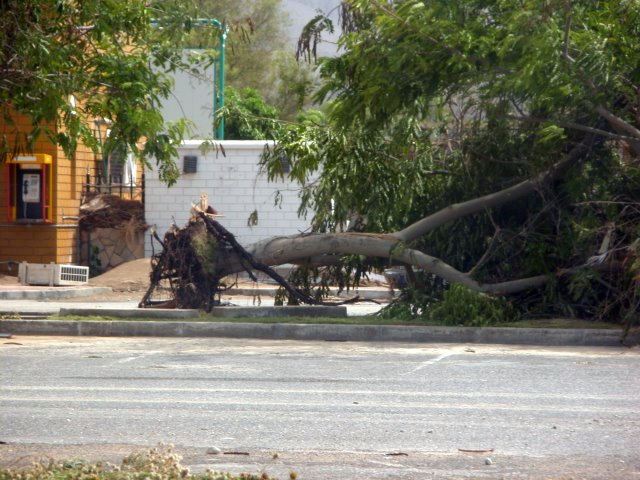 DSCN8182.JPG
