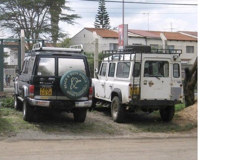 Number Plates.JPG