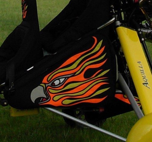 Custom (bird).jpg