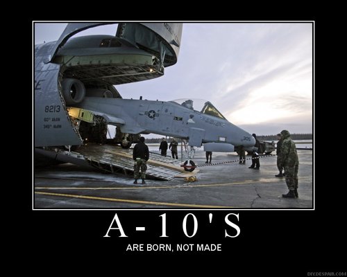 ATT254491.jpg