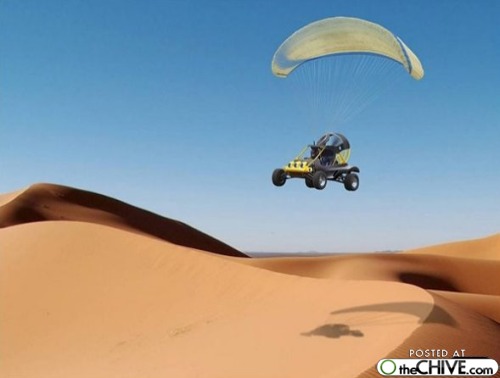 buggy1.jpg