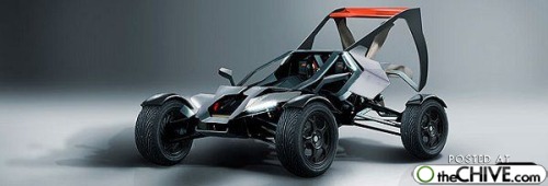 buggy3.jpg