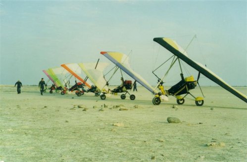 nico 1 (Medium).jpg
