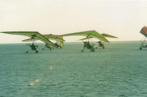 nico 3 (Medium).jpg
